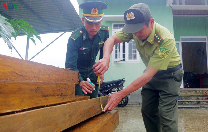 Đồn Biên phòng Nhâm bàn giao tang vật cho Kiểm lâm huyện A Lưới, tỉnh Thừa Thiên Huế.