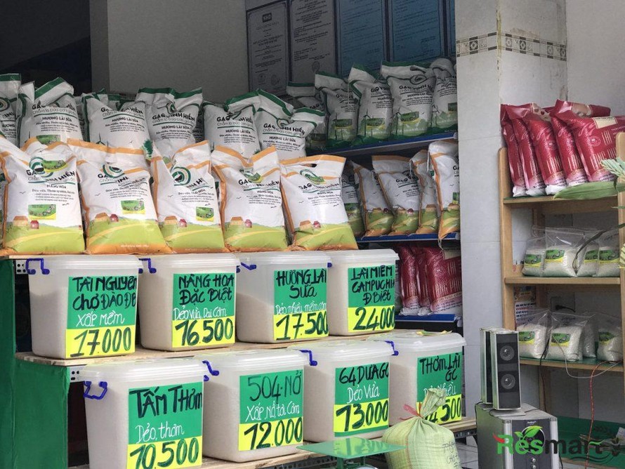 Ngân hàng Nhà nước: Doanh nghiệp lúa gạo vay không cần đảm bảo 