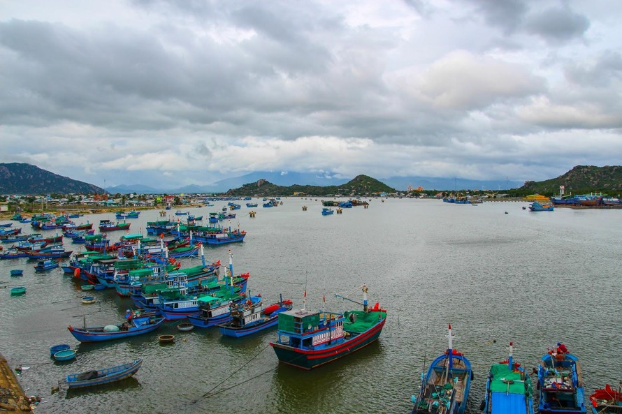 Phục hồi, bảo vệ hệ sinh thái đầm Nại, Ninh Thuận