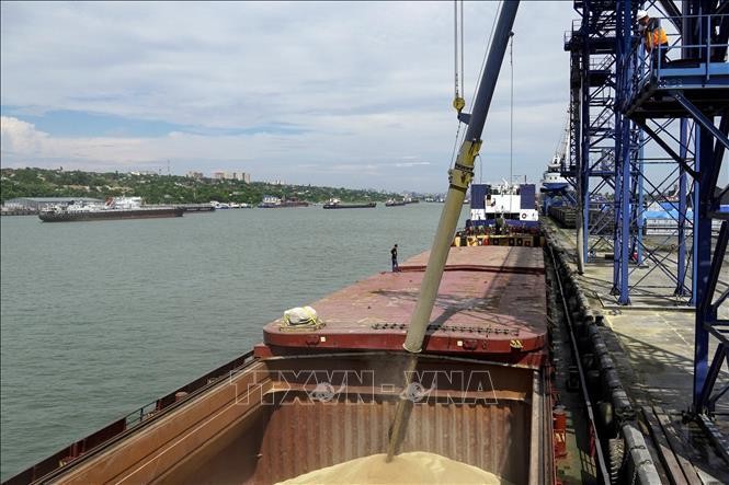 Lúa mì được chuyển lên tàu hàng ở cảng quốc tế Rostov-on-Don để tới Thổ Nhĩ Kỳ, ngày 26/7/2022. Ảnh: AFP