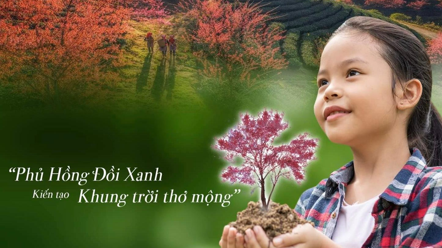 Phủ hồng đồi xanh - Chiến dịch trồng 2000 cây hoa và mai anh đào tại Khánh Sơn 