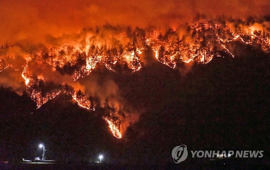 Hàn Quốc hỗ trợ người dân bị ảnh hưởng trong thảm họa cháy rừng 