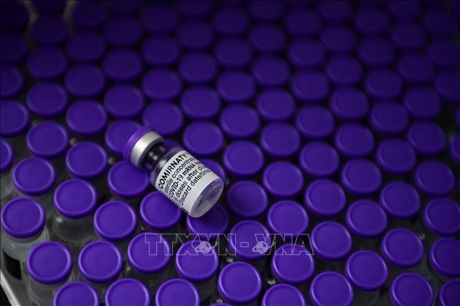 Vaccine ngừa COVID-19 của hãng dược phẩm Pfizer/BioNTech. Ảnh minh họa: AFP/TTXVN