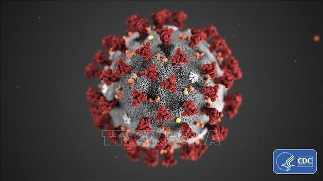 Hình ảnh minh họa virus SARS-CoV-2 gây bệnh COVID-19. Ảnh: AFP/TTXVN