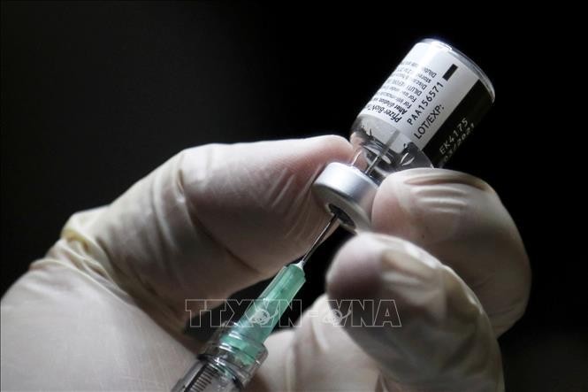 Chuẩn bị mũi tiêm vaccine ngừa COVID-19 của Pfizer. Ảnh minh họa: AFP/TTXVN