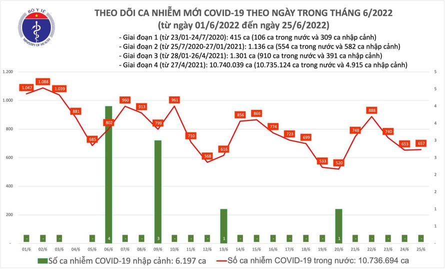 Biểu đồ số ca mắc COVID-19 tại Việt Nam đến chiều ngày 25/6