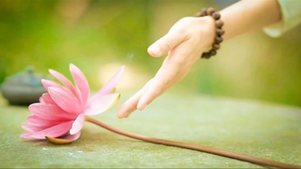 Những câu chuyện Phật dạy về sự tha thứ đáng suy ngẫm